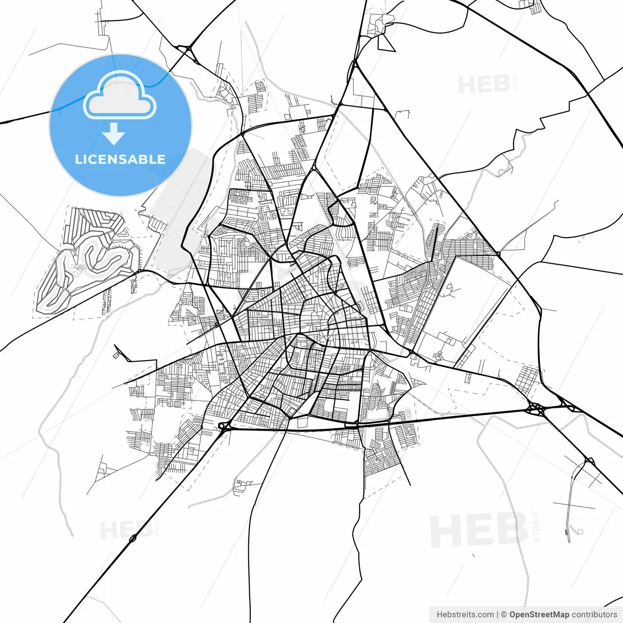Vector PDF map of Irapuato, Mexico