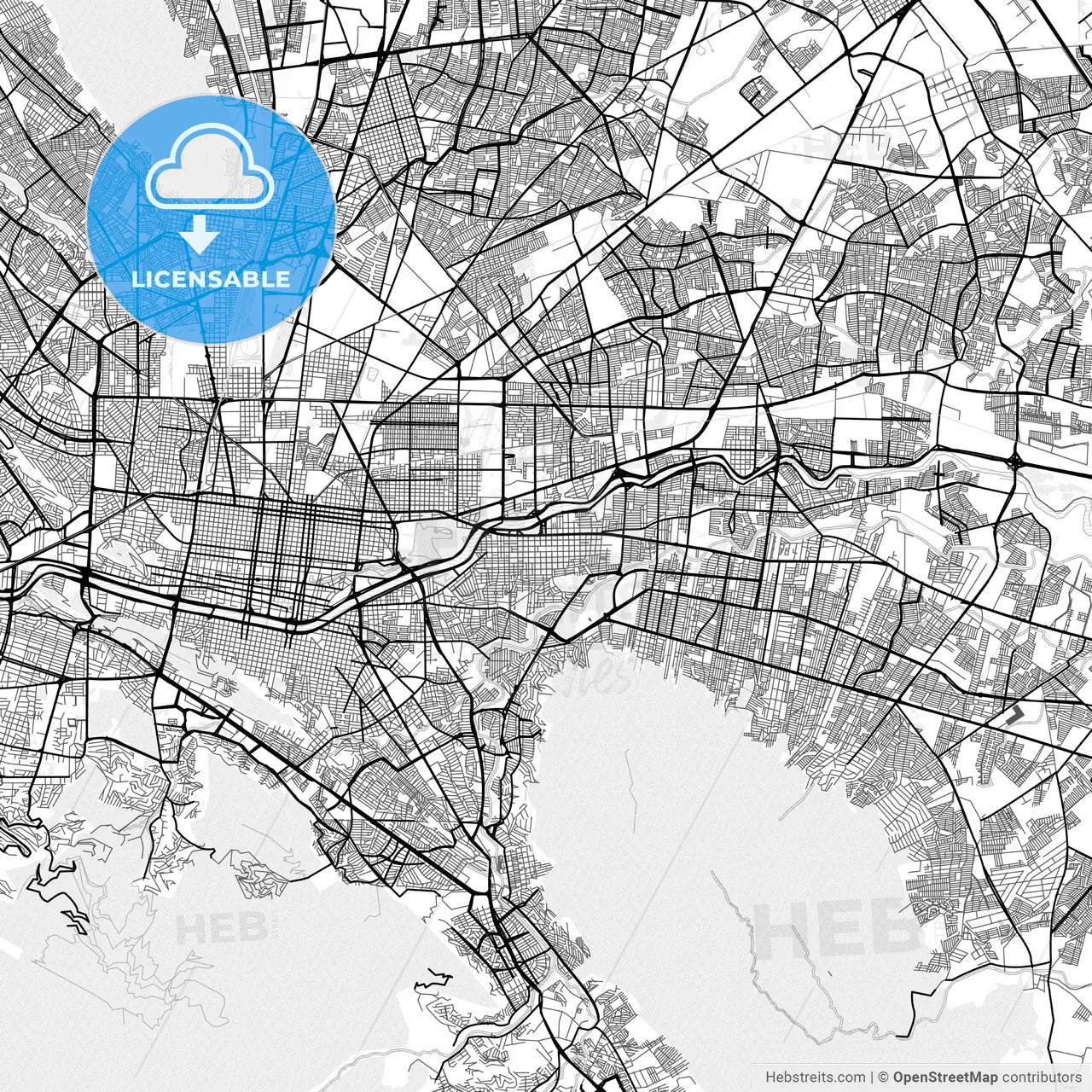 Vector PDF map of Guadalupe, Mexico
