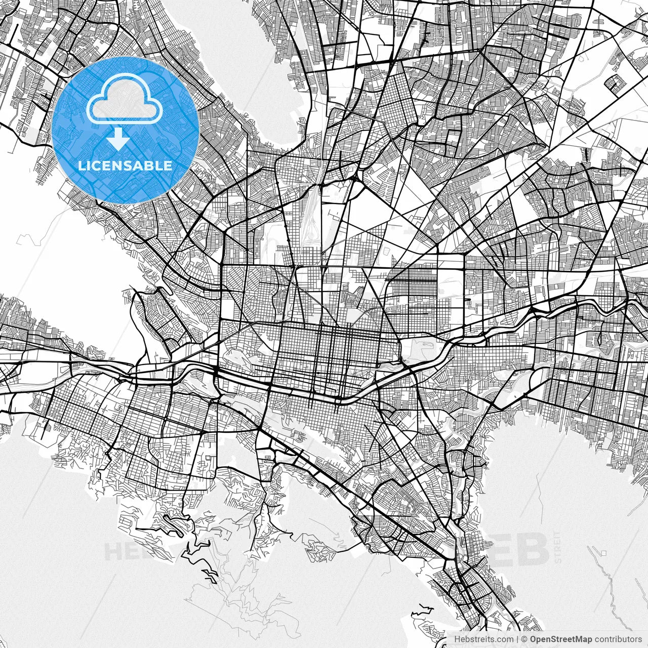 Vector PDF map of Monterrey, Mexico
