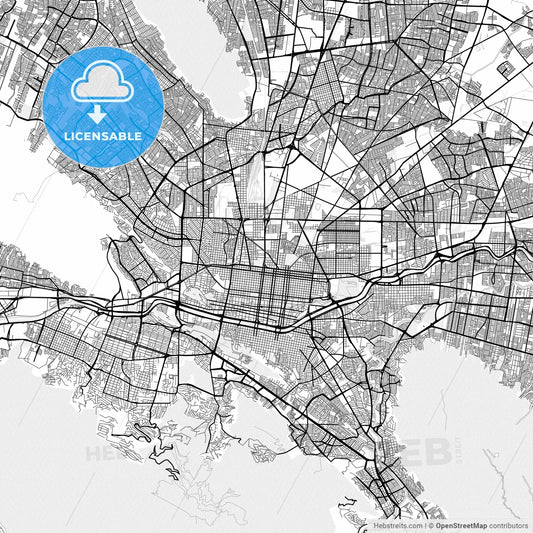 Vector PDF map of Monterrey, Mexico
