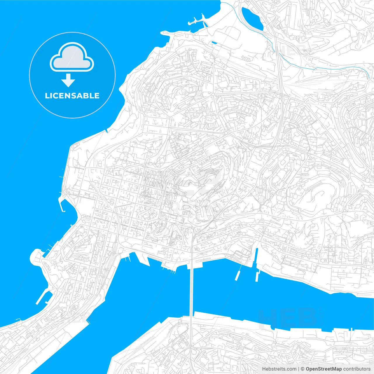 Vladivostok, Russia bright two-toned vector map