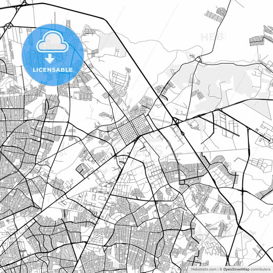 Vector PDF map of Ciudad Apodaca, Mexico