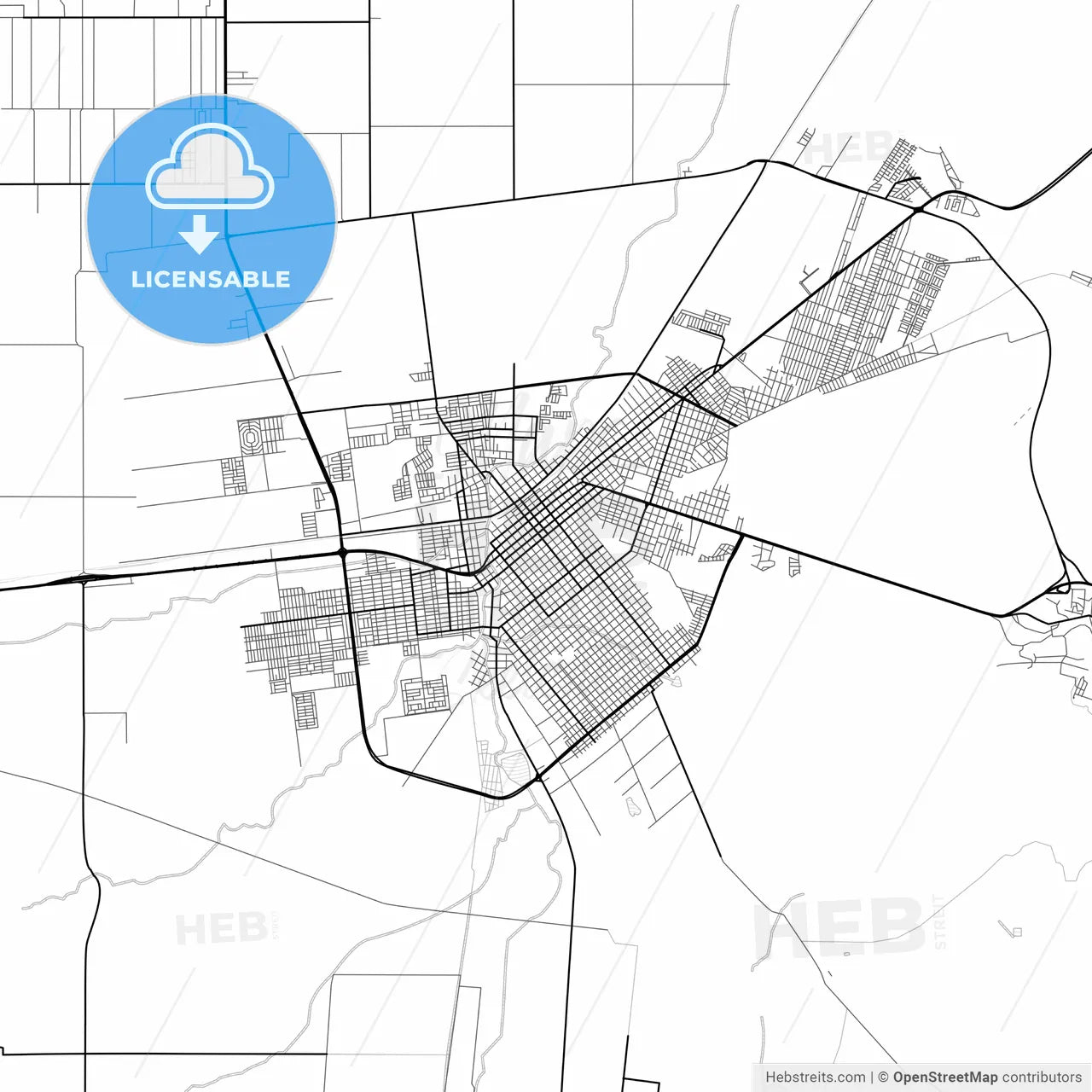 Vector PDF map of Ciudad Cuauhtémoc, Mexico