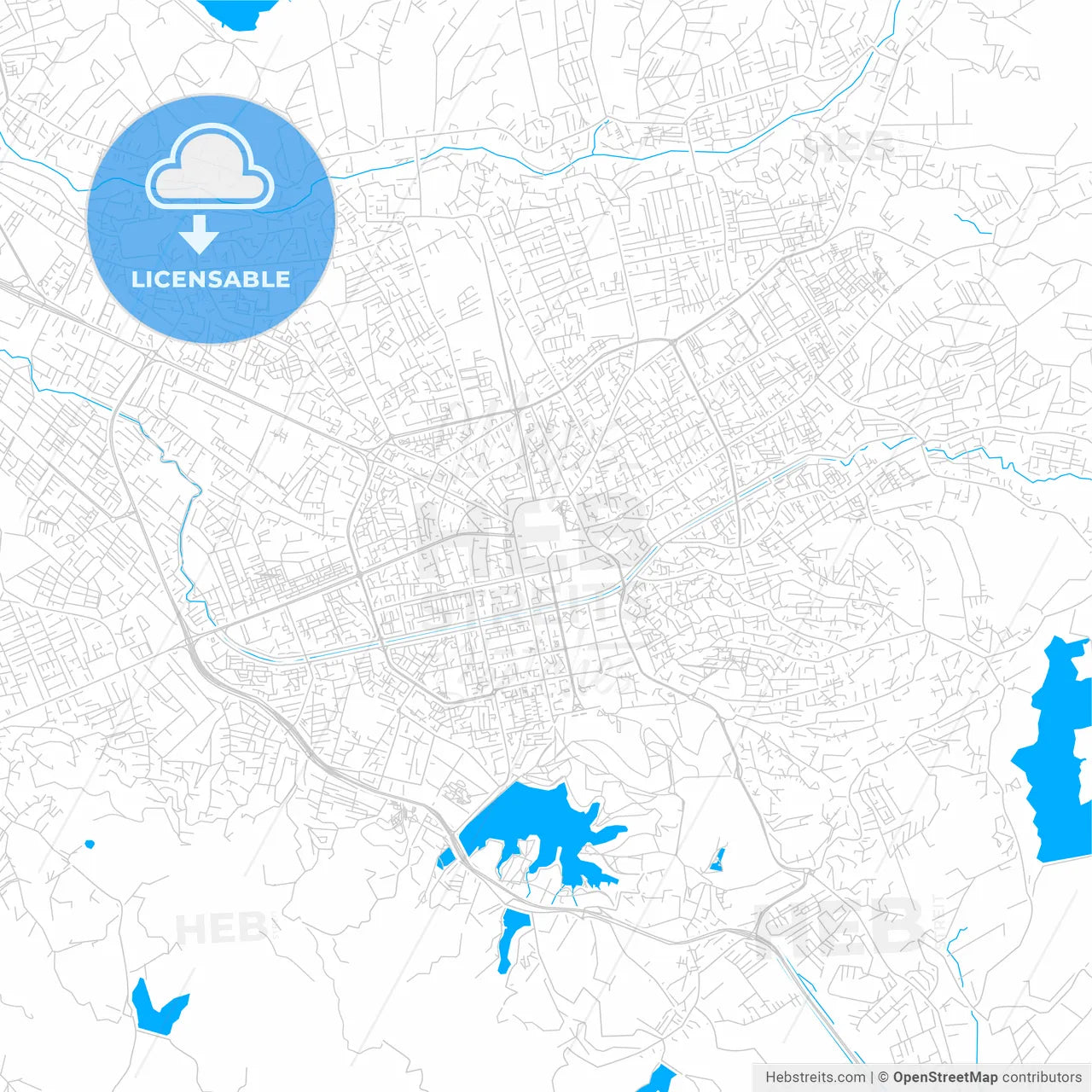 Tirana, Albania bright two-toned vector map
