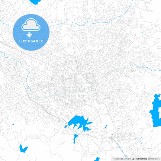 Tirana, Albania bright two-toned vector map