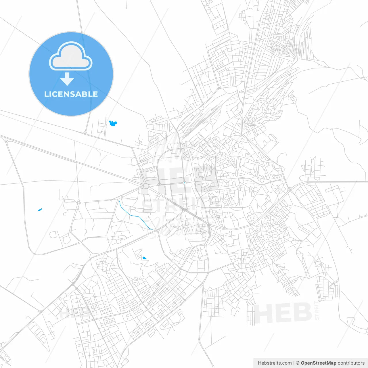 Erzurum, Turkey bright two-toned vector map