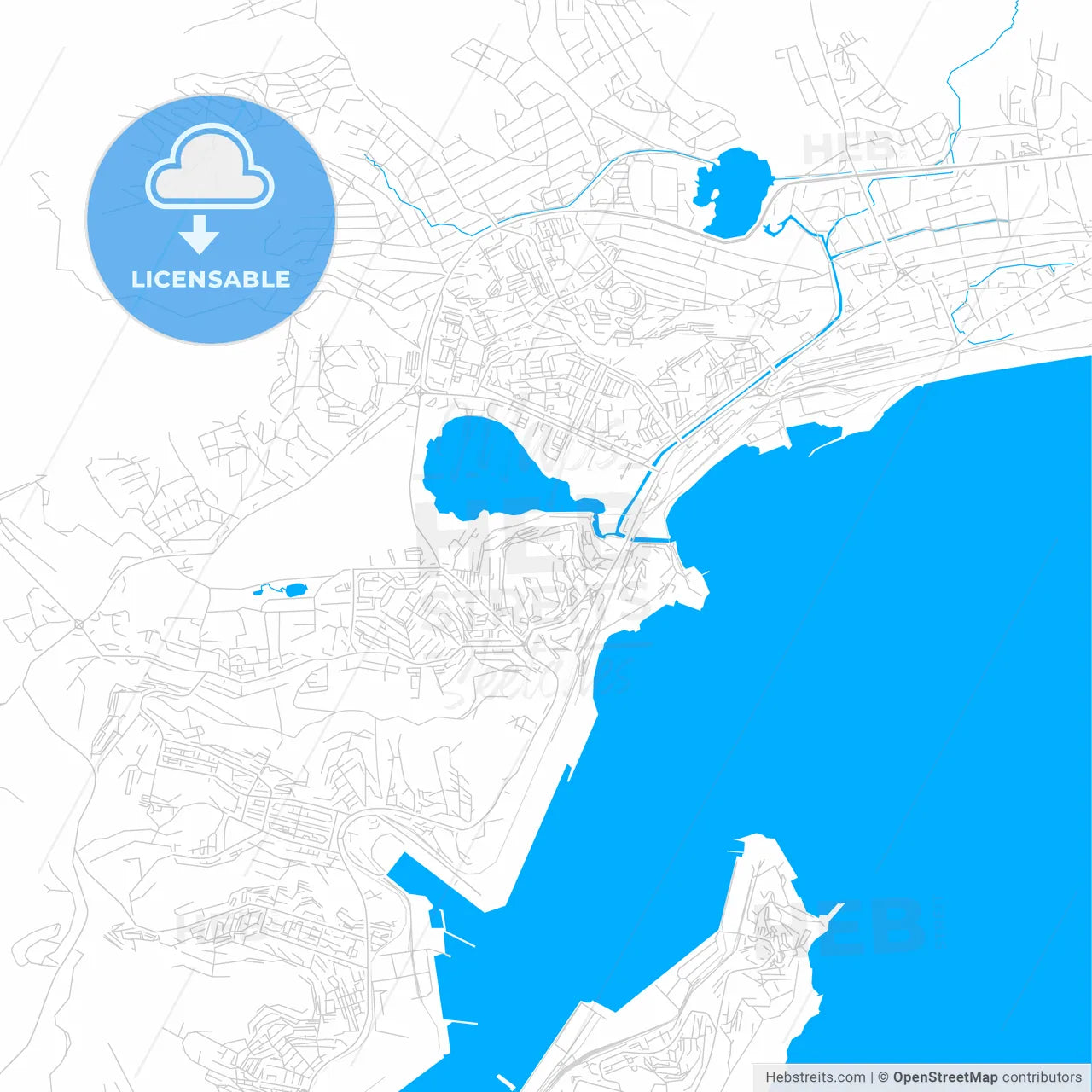 Nakhodka, Russia bright two-toned vector map