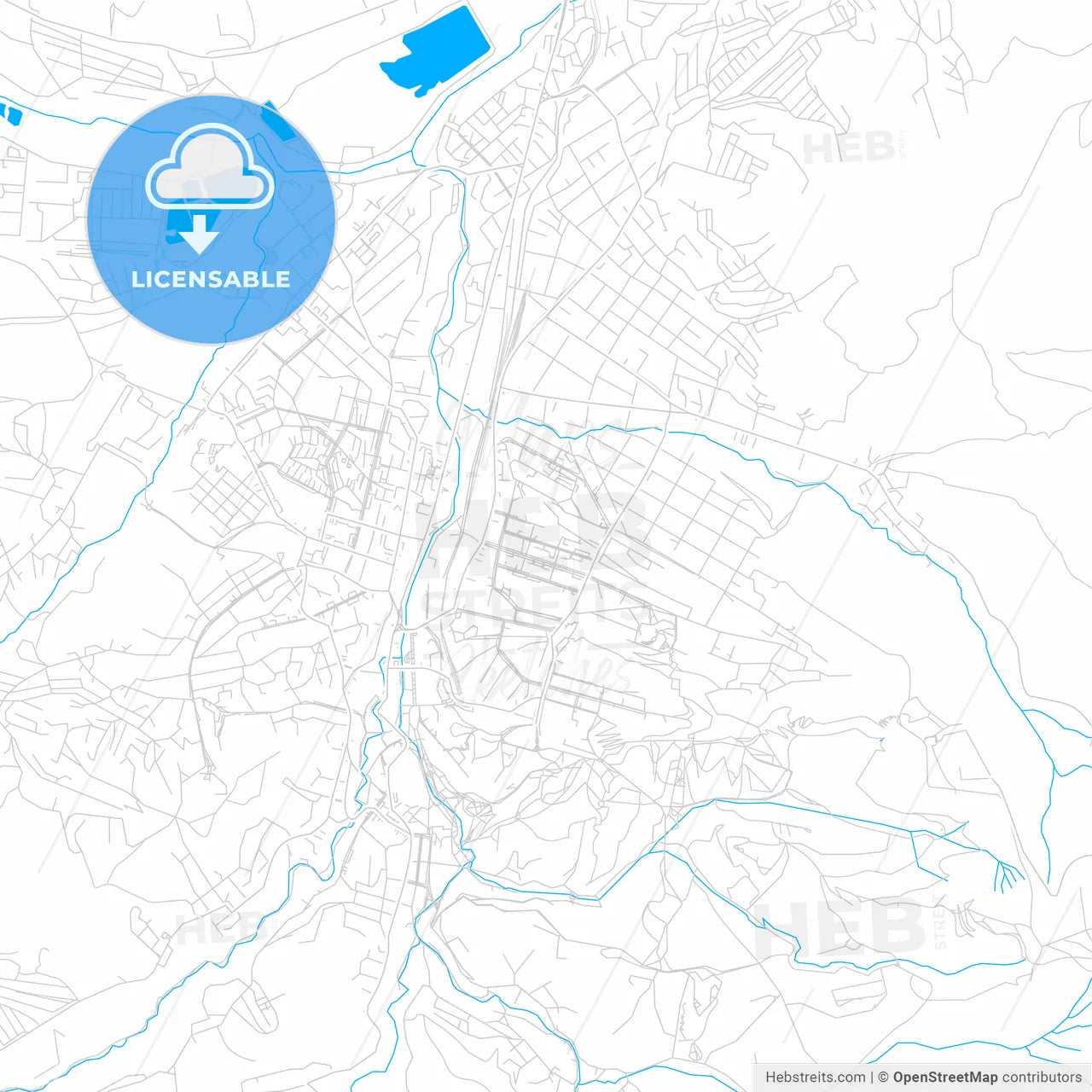 Kislovodsk, Russia bright two-toned vector map