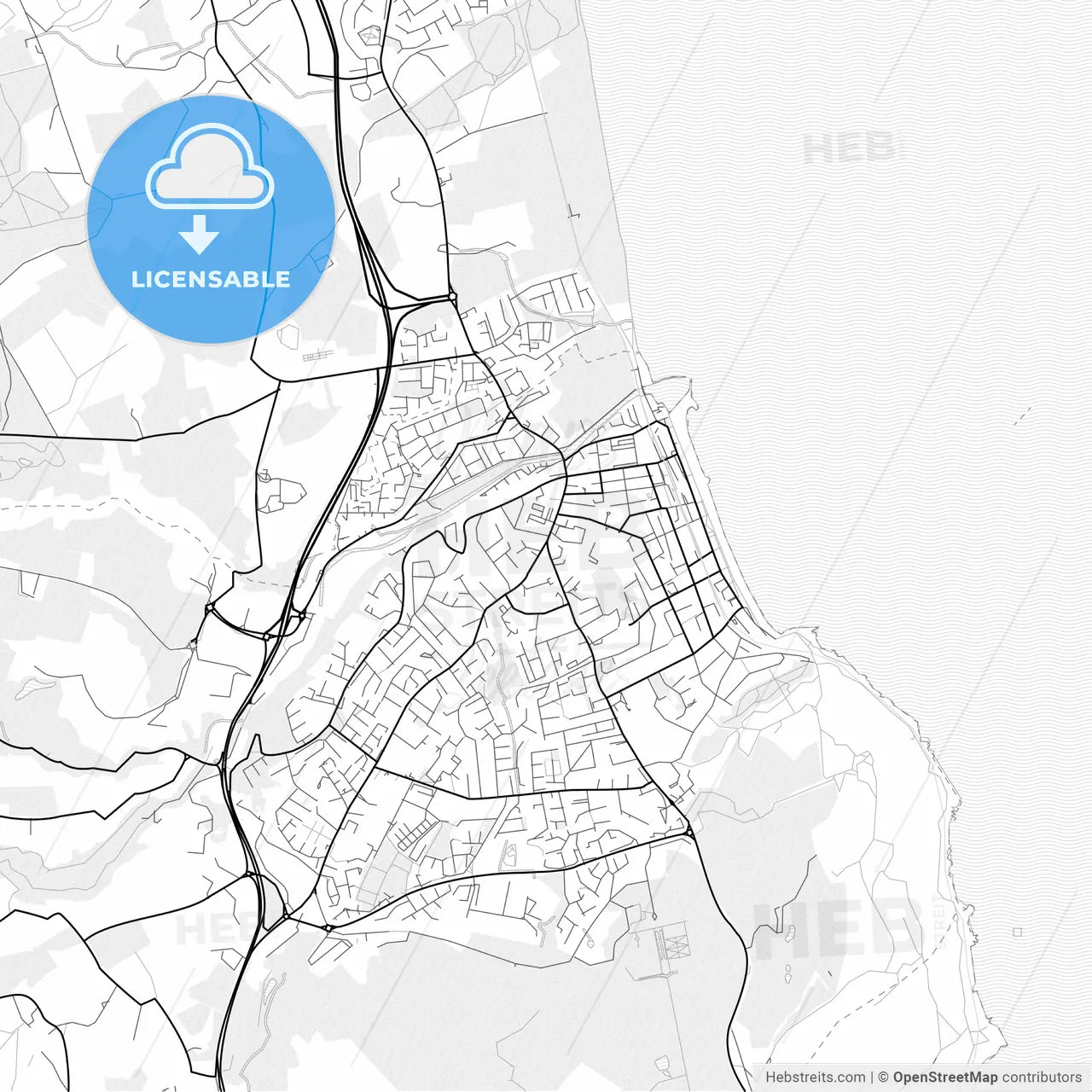 Vector PDF map of Bray, Ireland
