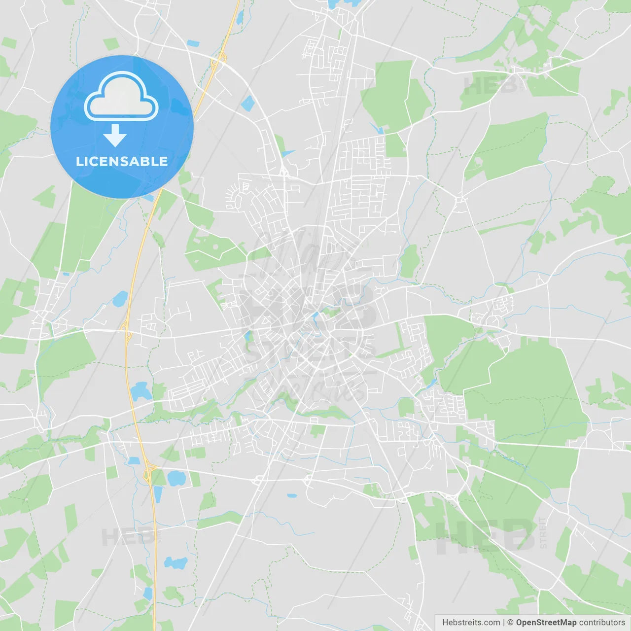 Neumunster, Germany printable street map