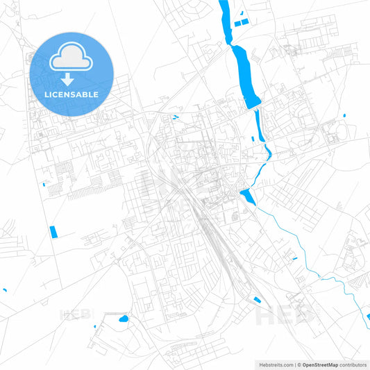 Lida, Belarus bright two-toned vector map