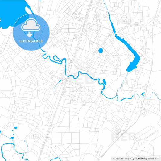 Pushkino, Russia bright two-toned vector map