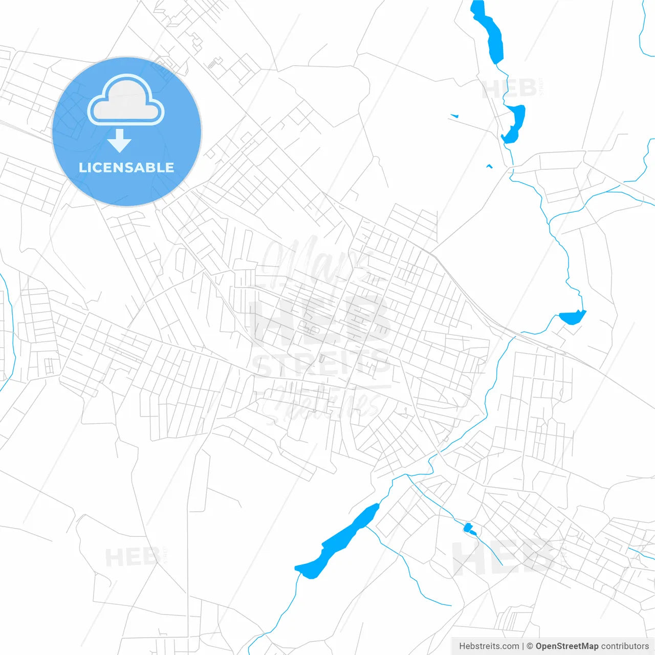 Novoshakhtinsk, Russia bright two-toned vector map