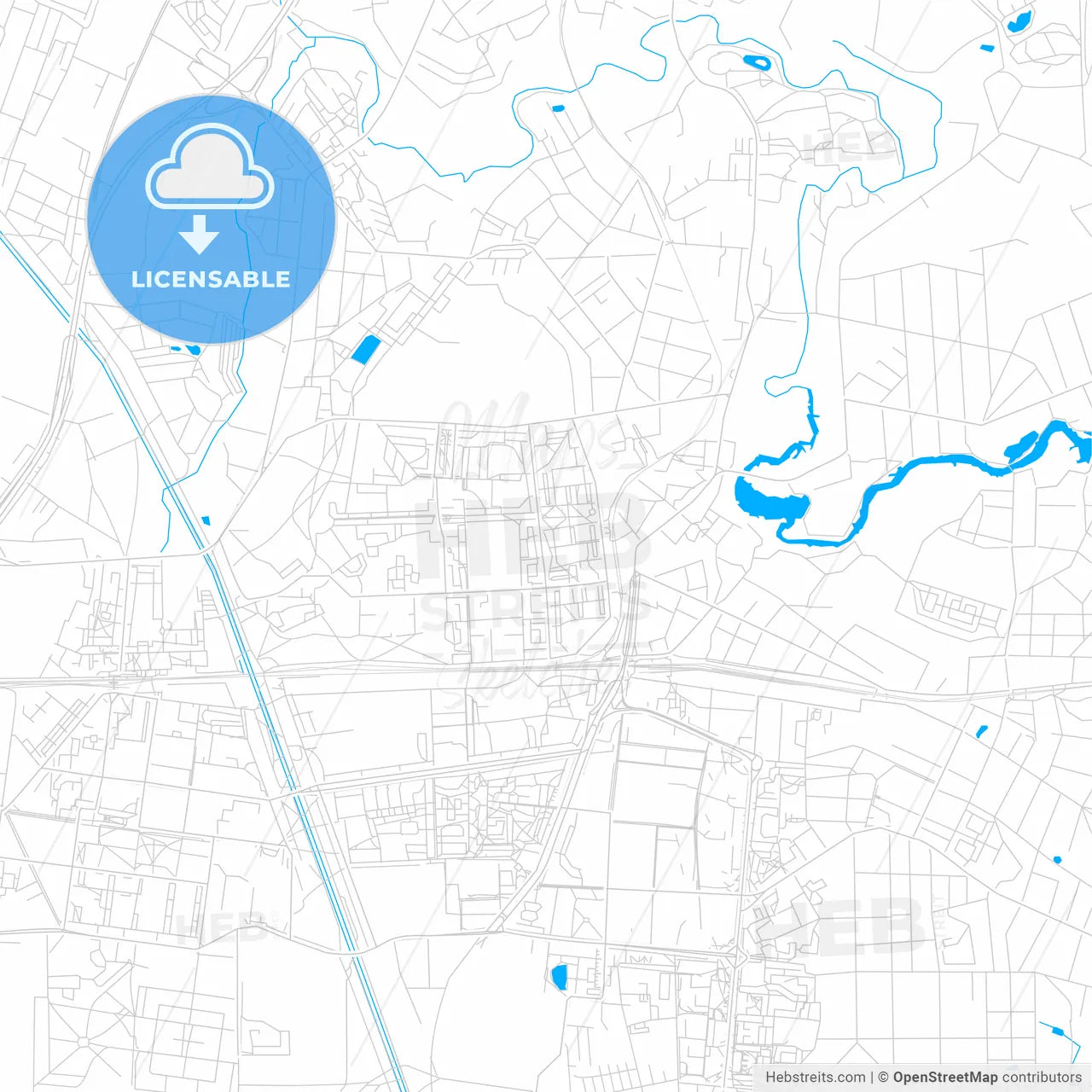 Korolyov, Russia bright two-toned vector map