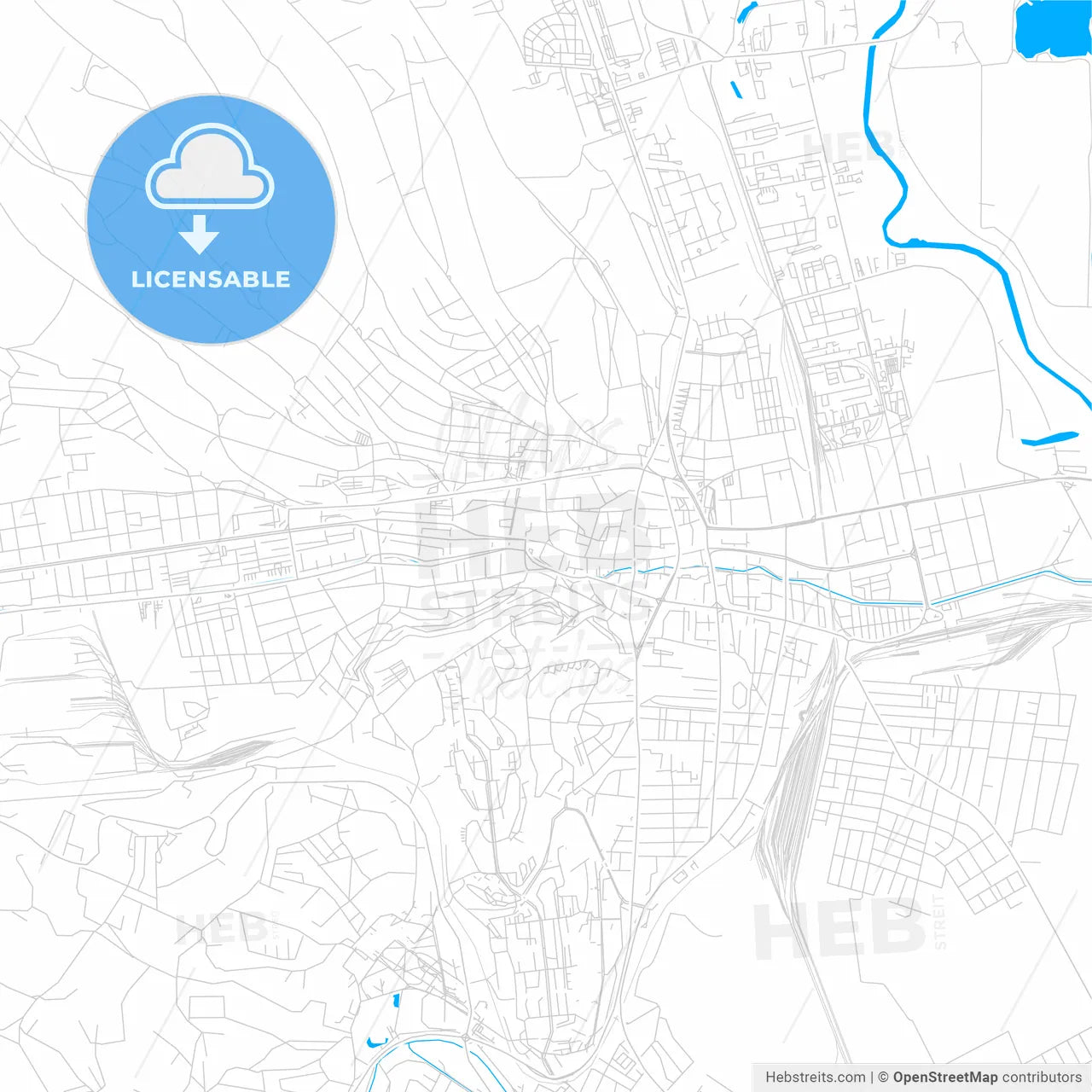 Miskolc, Hungary bright two-toned vector map