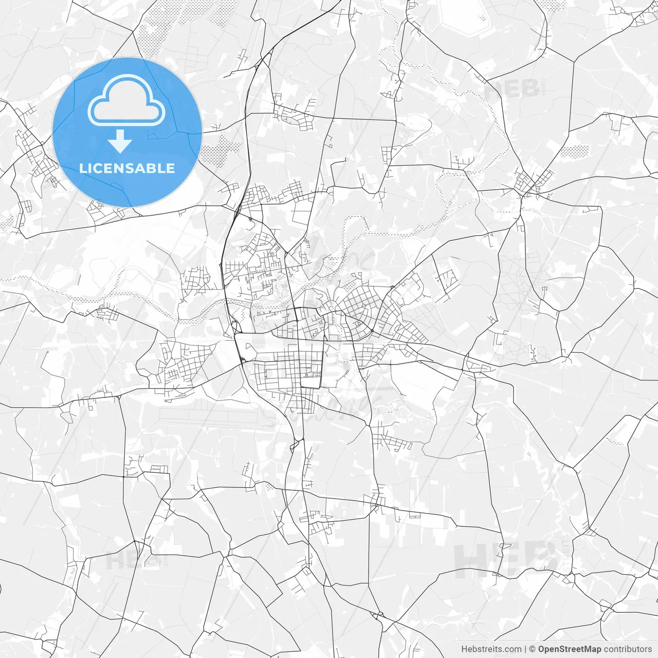 Pardubice light vector map
