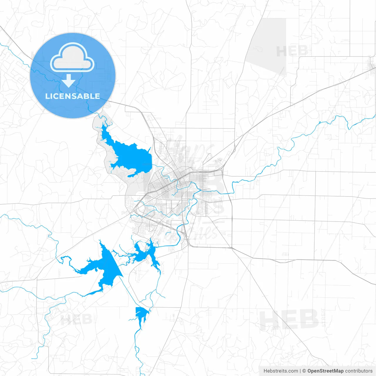 Rich detailed vector map of San Angelo, Texas, USA