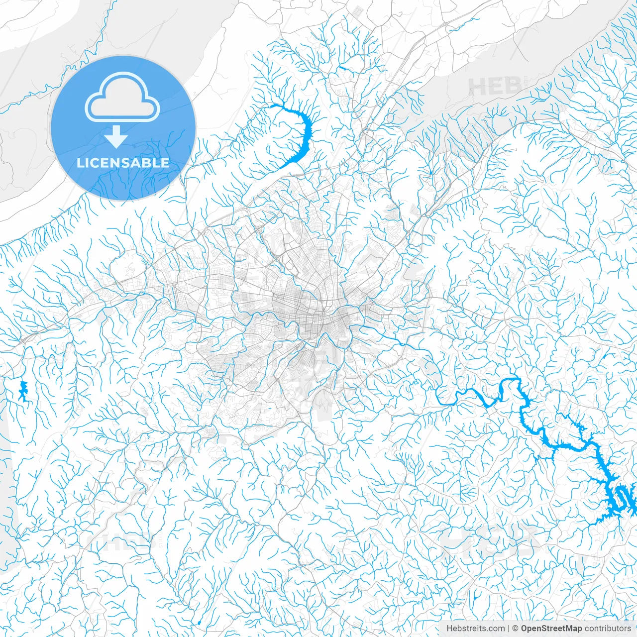 Rich detailed vector map of Roanoke, Virginia, USA