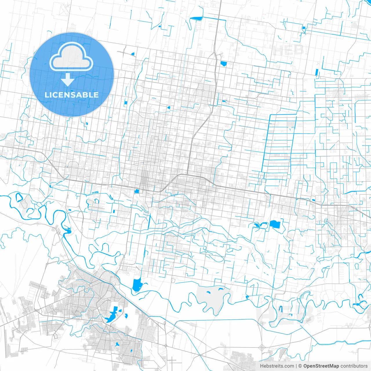 Rich detailed vector map of Pharr, Texas, USA