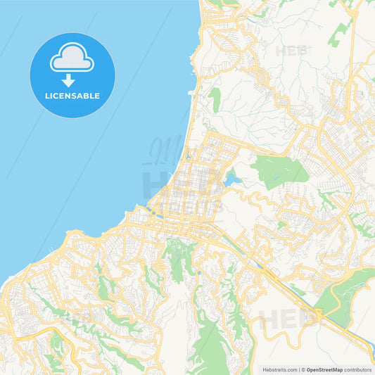 Printable street map of Vina del Mar, Chile