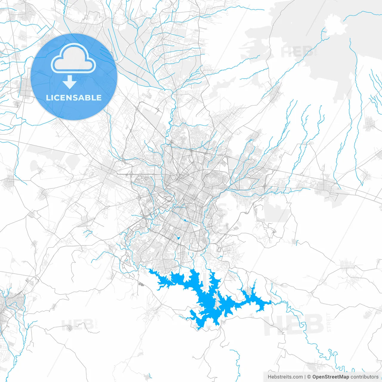 Rich detailed vector map of Puebla, Puebla, Mexico