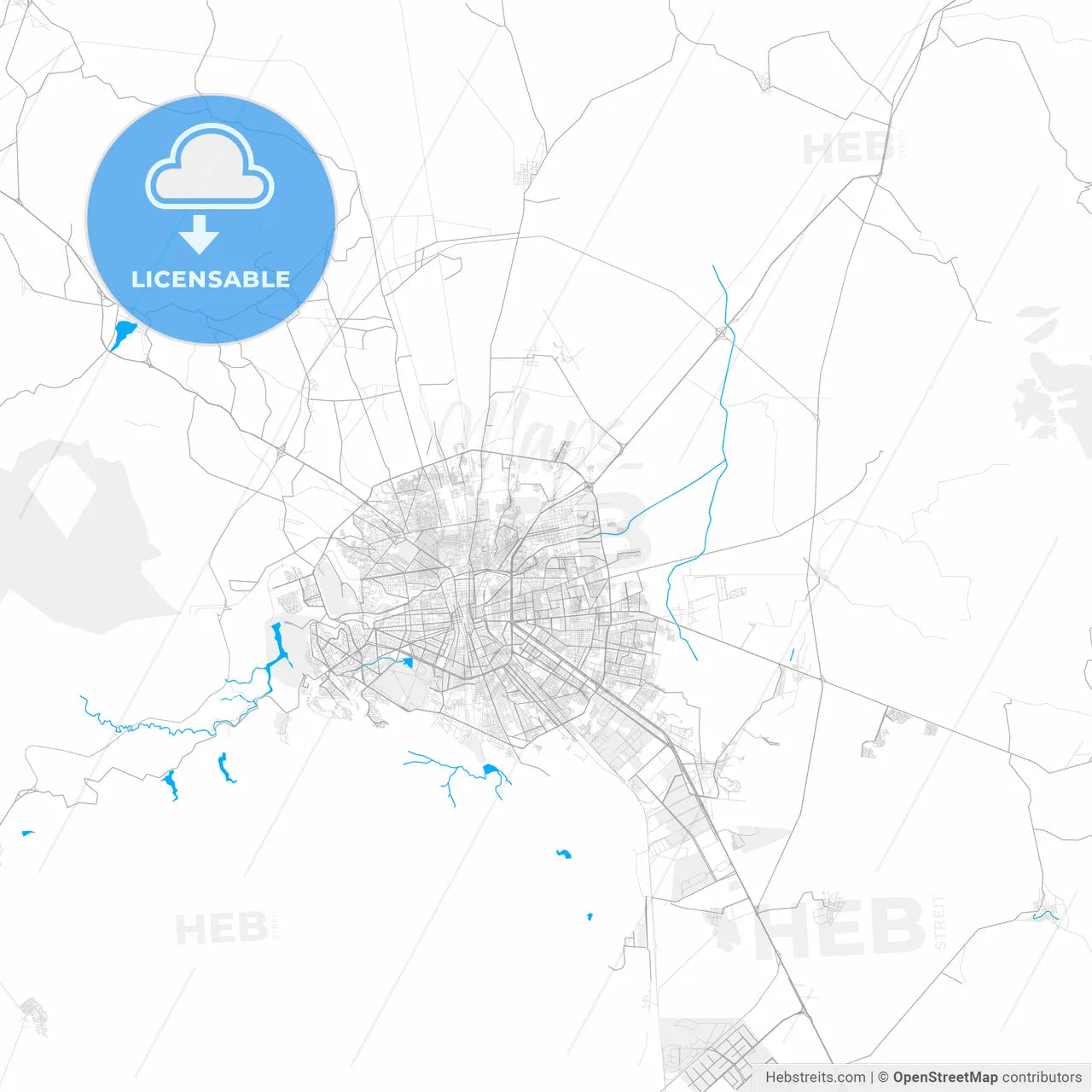 Rich detailed vector map of Soledad de Graciano Sánchez, San Luis Potosí, Mexico