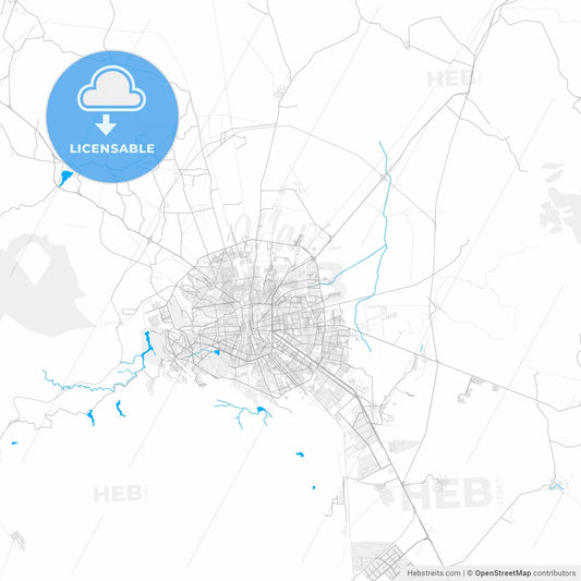 Rich detailed vector map of Soledad de Graciano Sánchez, San Luis Potosí, Mexico