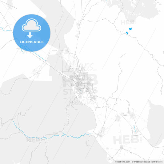 Rich detailed vector map of Tehuacán, Puebla, Mexico