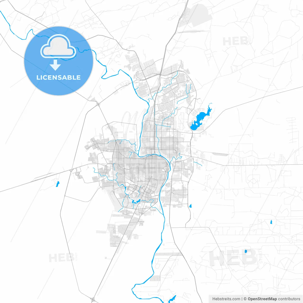 Rich detailed vector map of Laredo, Texas, U.S.A.