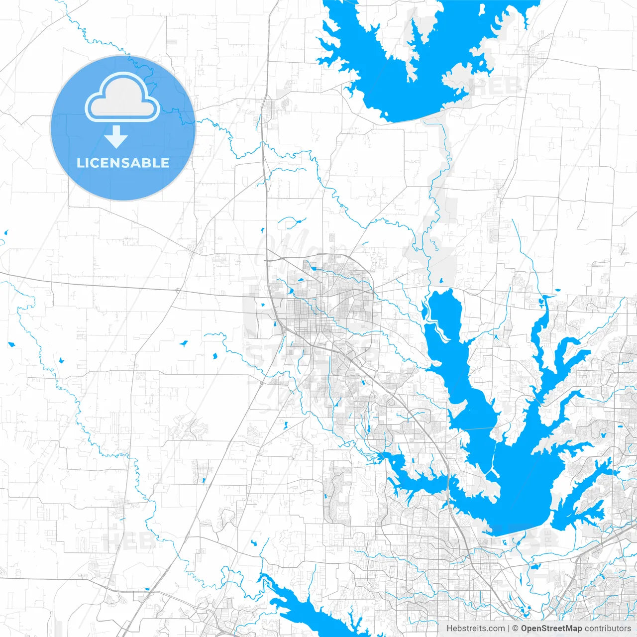 Rich detailed vector map of Denton, Texas, USA