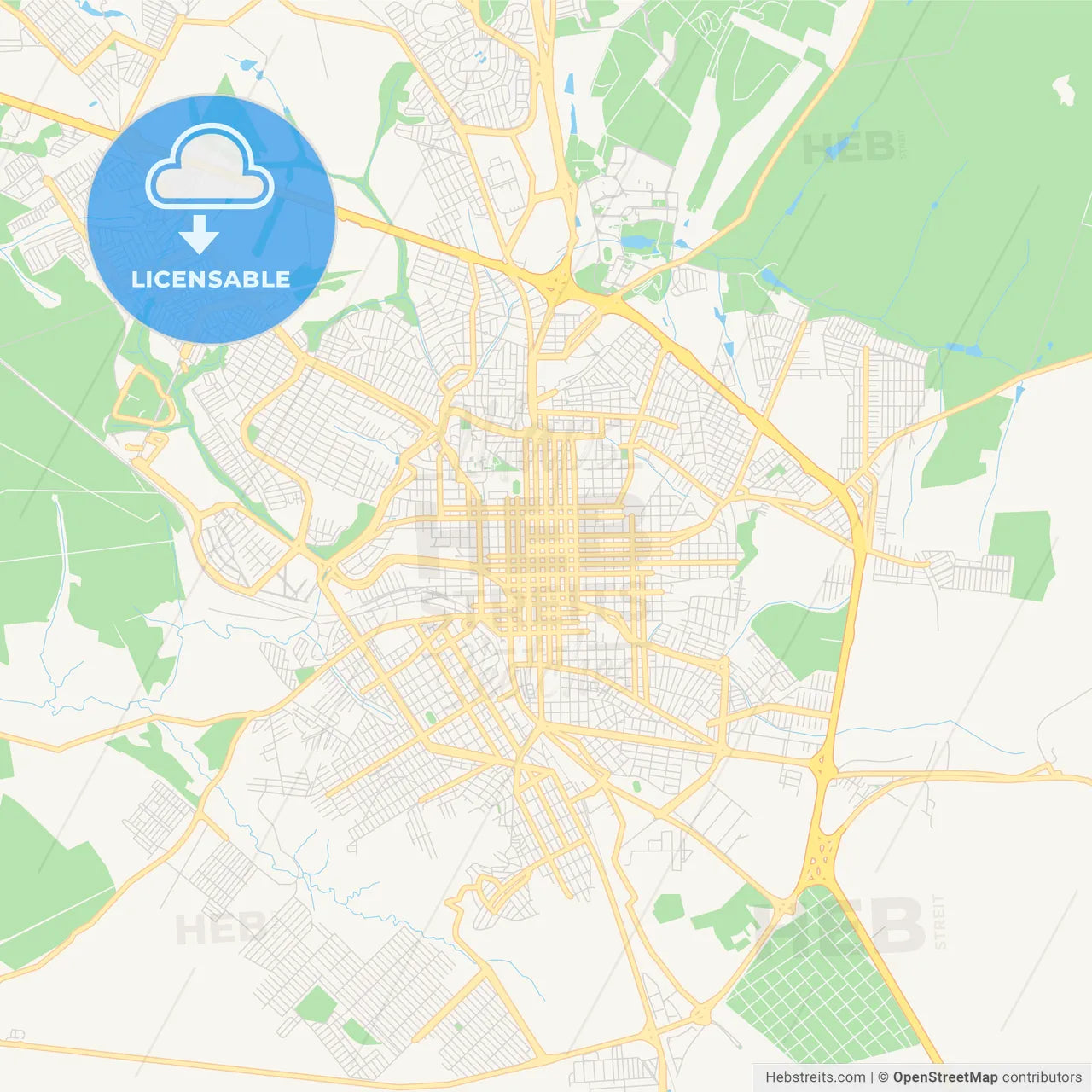 Printable street map of Sao Carlos, Brazil