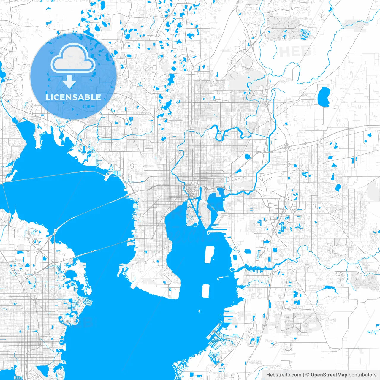 Rich detailed vector map of Tampa, Florida, U.S.A.