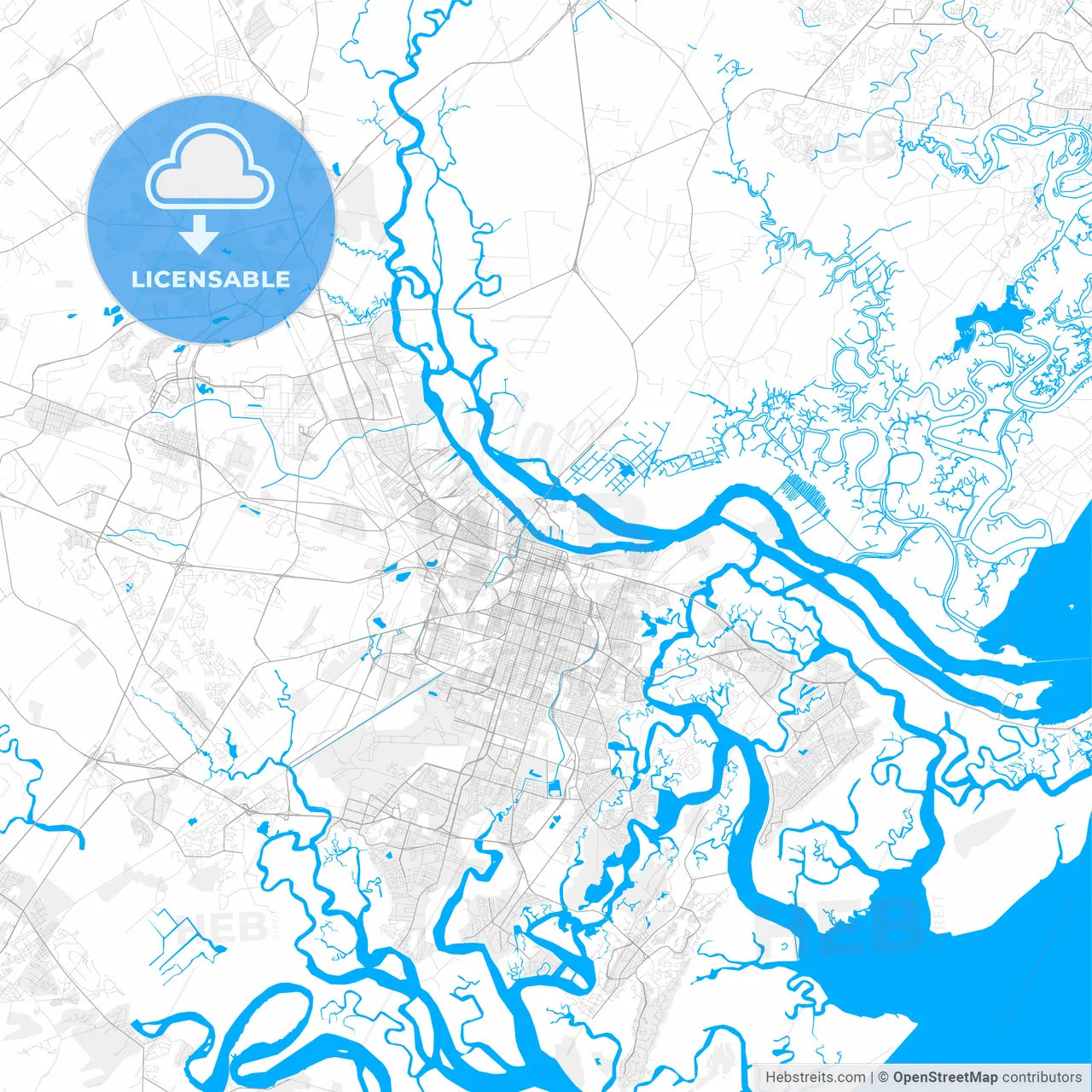 Rich detailed vector map of Savannah, Georgia, USA