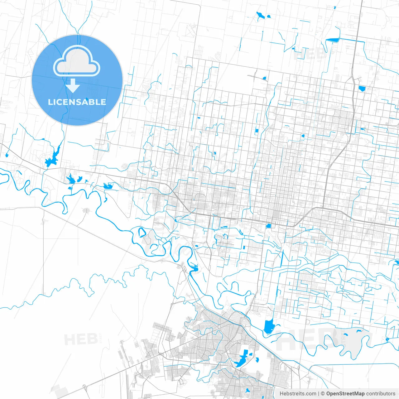 Rich detailed vector map of Mission, Texas, USA