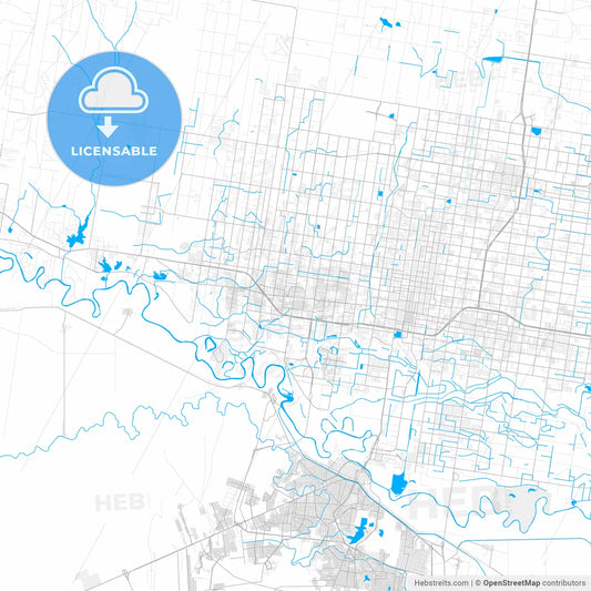 Rich detailed vector map of Mission, Texas, USA