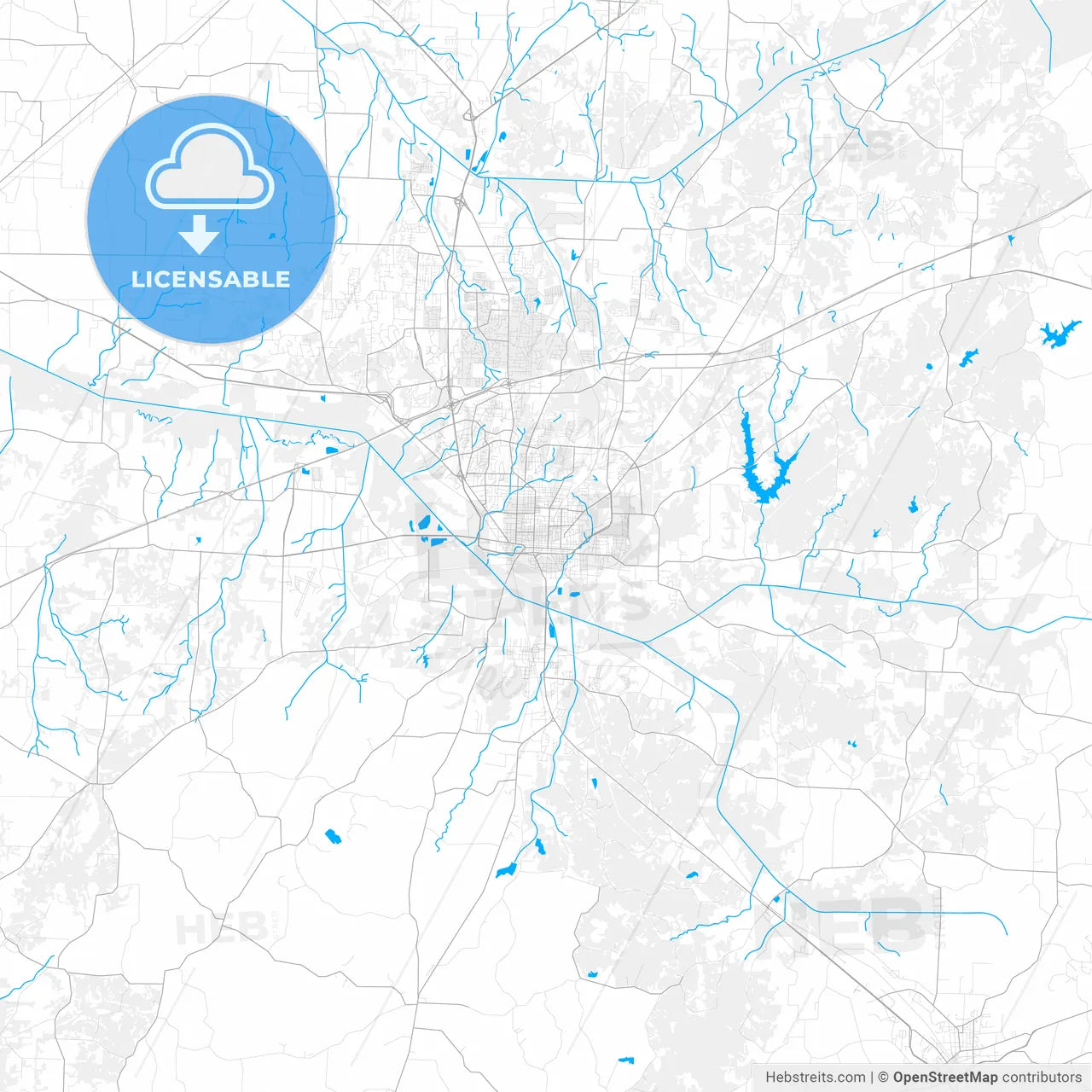 Rich detailed vector map of Jackson, Tennessee, USA