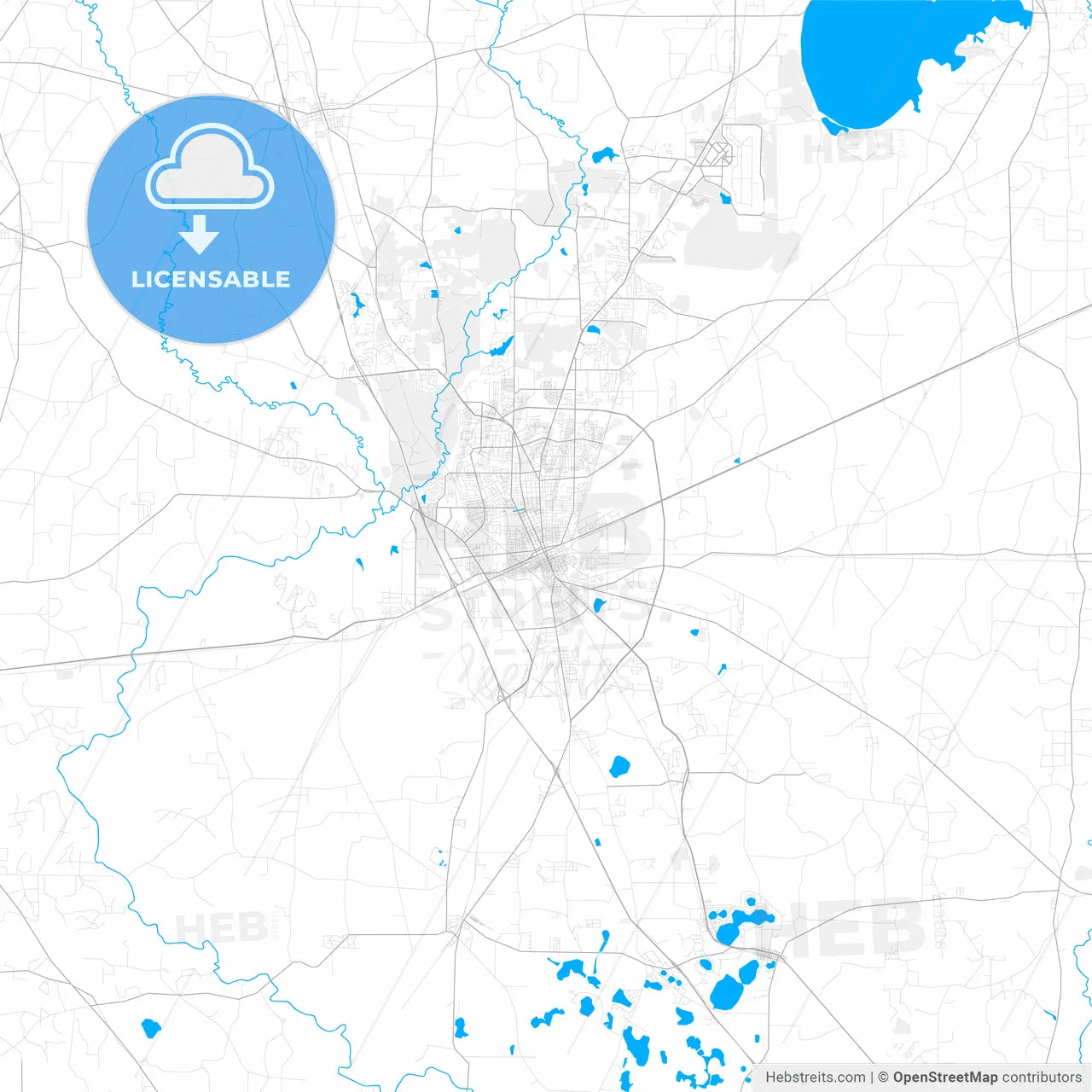 Rich detailed vector map of Valdosta, Georgia, USA