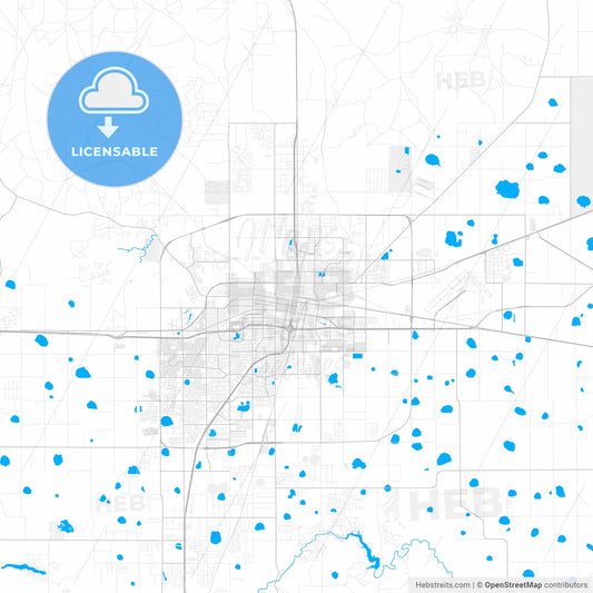 Rich detailed vector map of Amarillo, Texas, USA