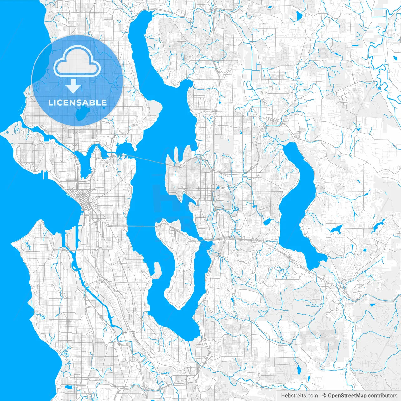 Rich detailed vector map of Bellevue, Washington, USA
