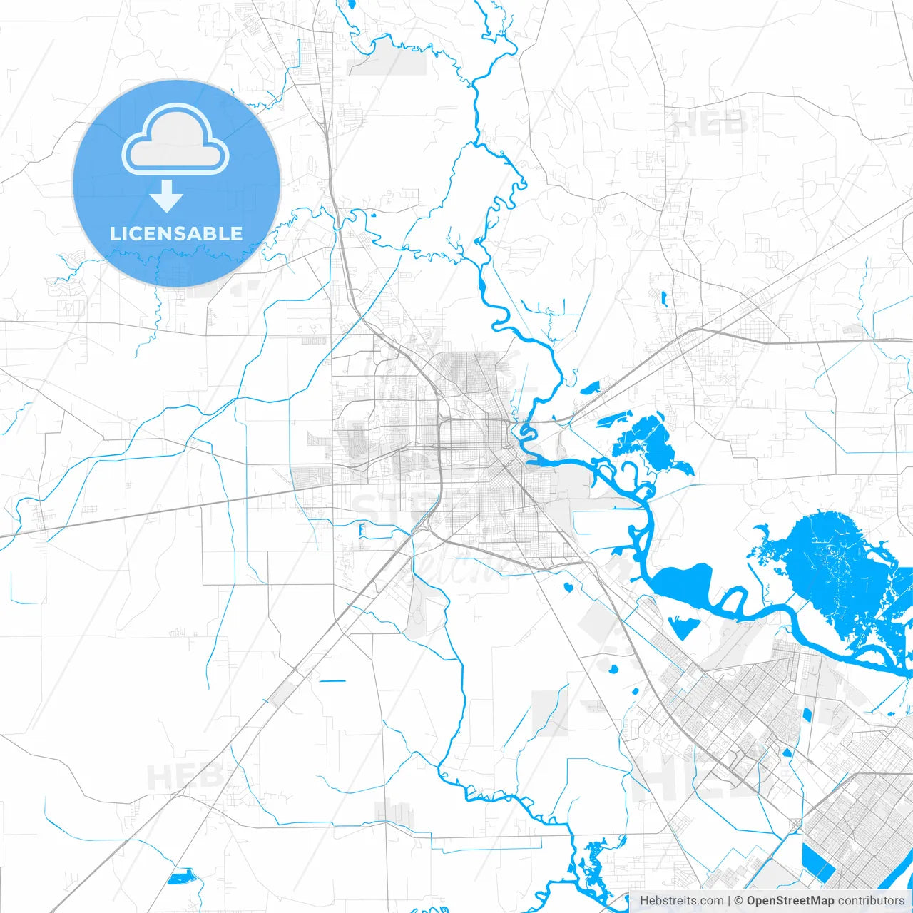 Rich detailed vector map of Beaumont, Texas, USA