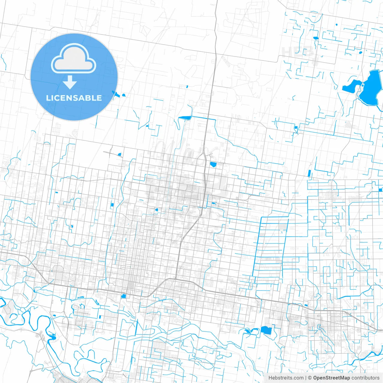 Rich detailed vector map of Edinburg, Texas, USA