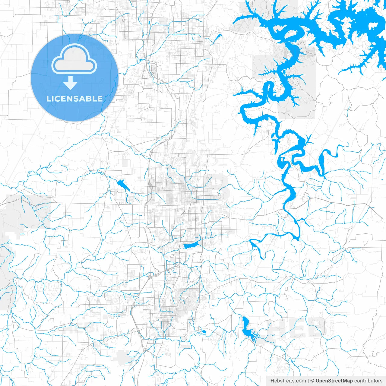 Rich detailed vector map of Springdale, Arkansas, USA