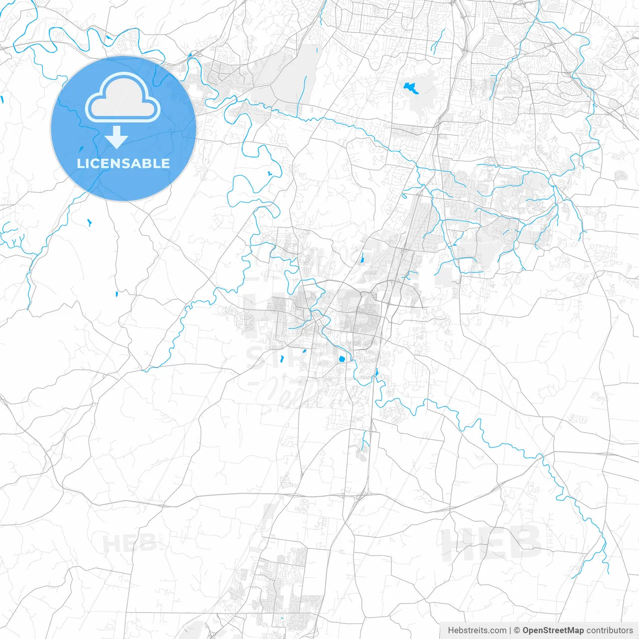 Rich detailed vector map of Franklin, Tennessee, USA