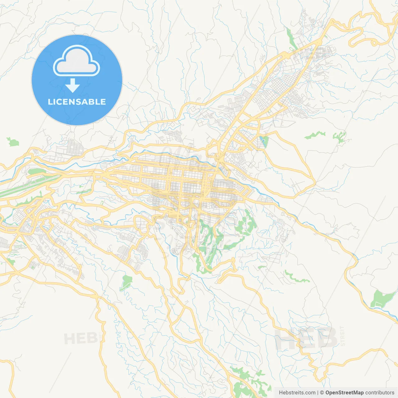 Printable street map of Pereira, Colombia