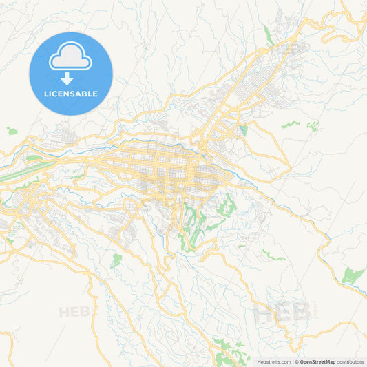 Printable street map of Pereira, Colombia