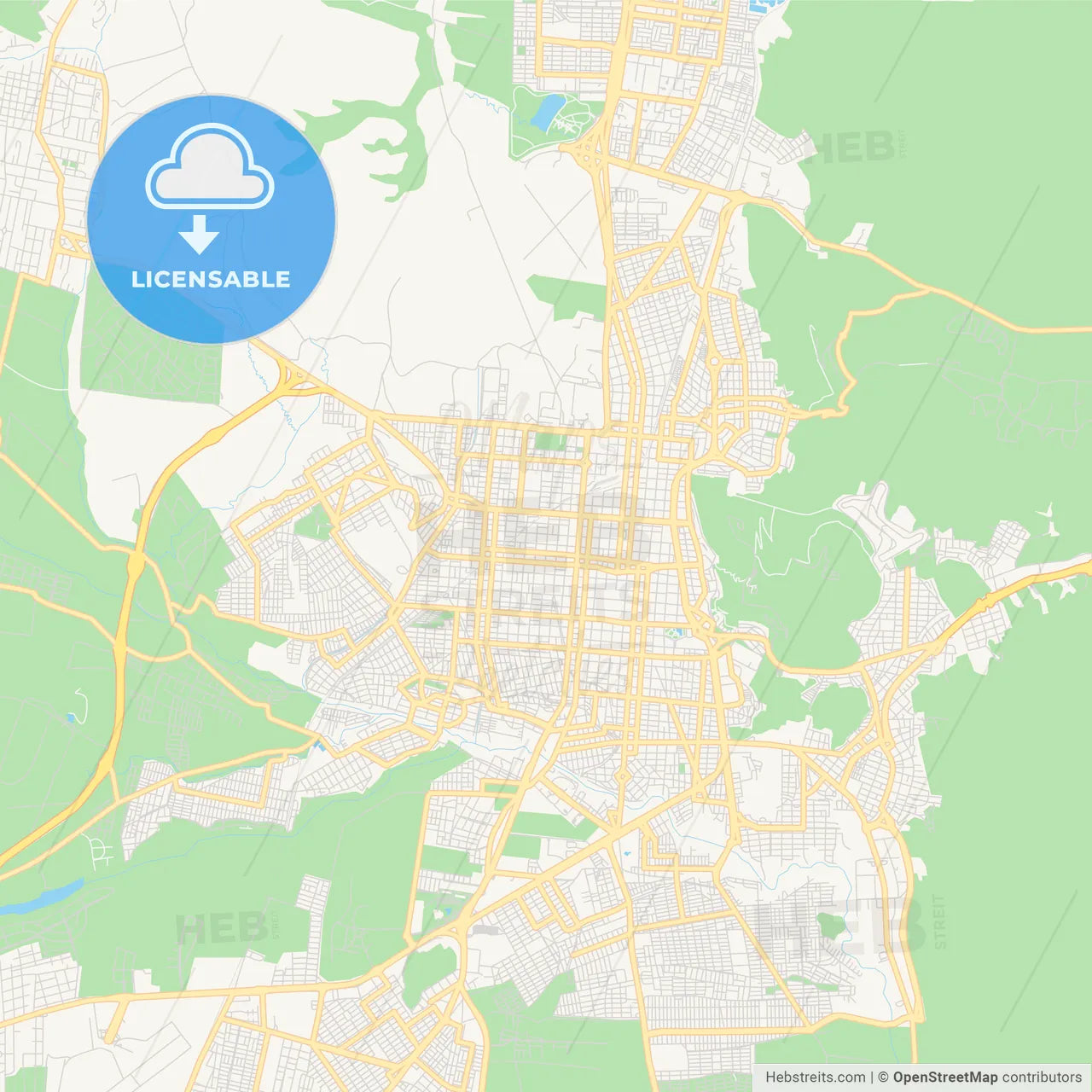 Printable street map of Salta, Argentina