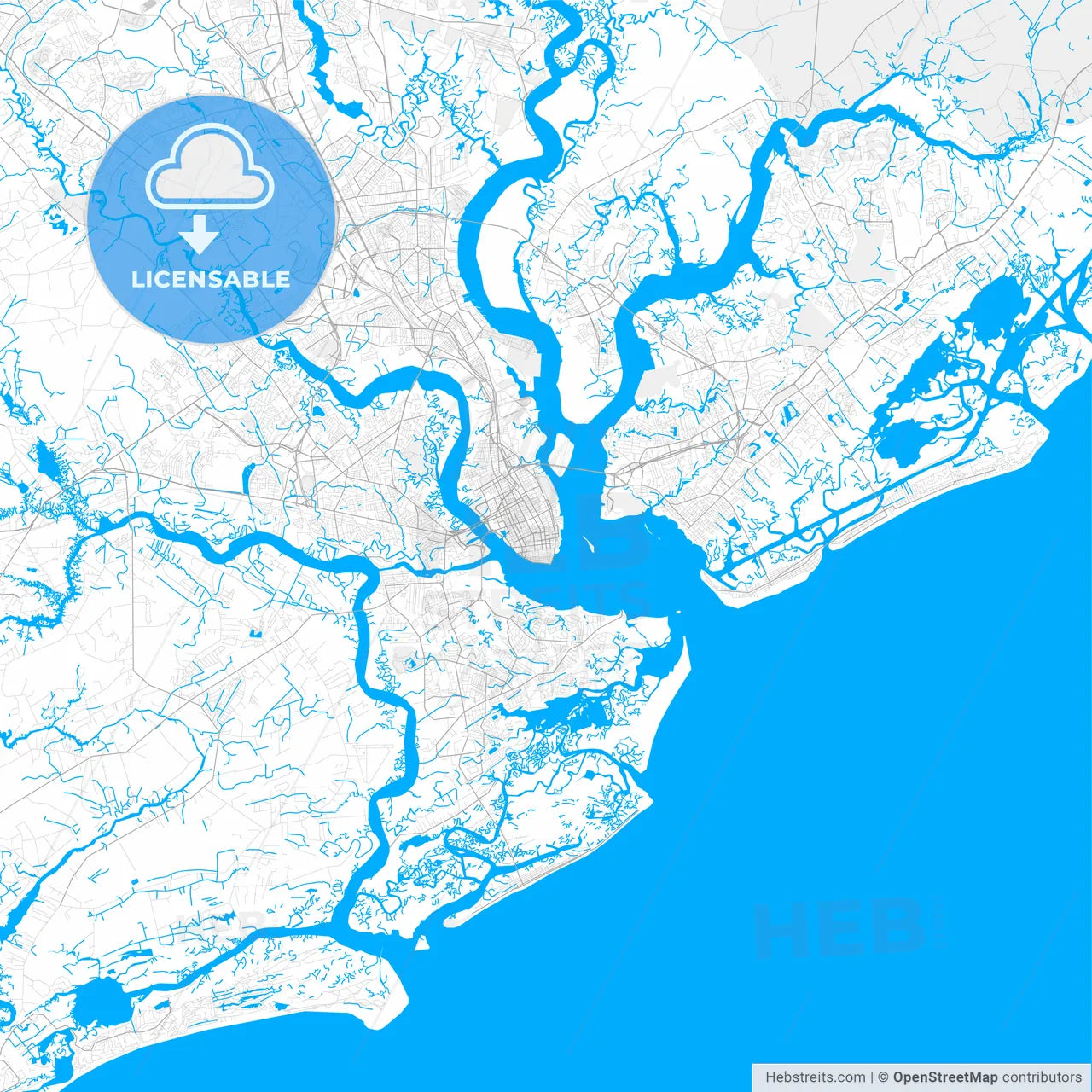 Rich detailed vector map of Charleston, South Carolina, USA