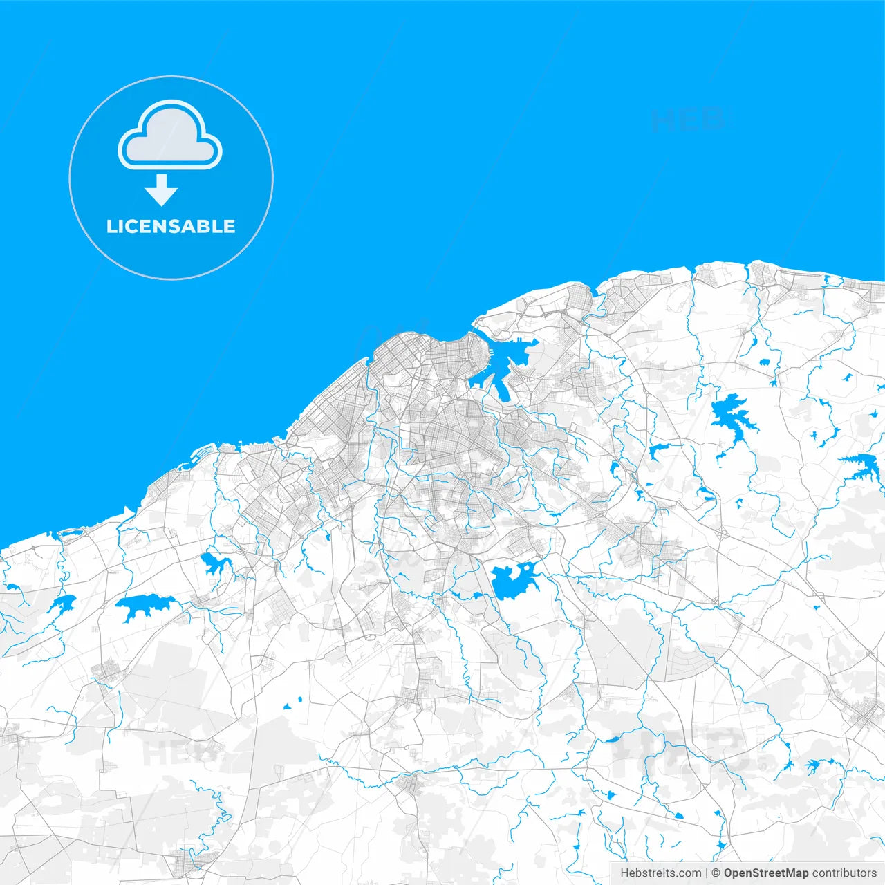Rich detailed vector map of Havana, Havana, Cuba