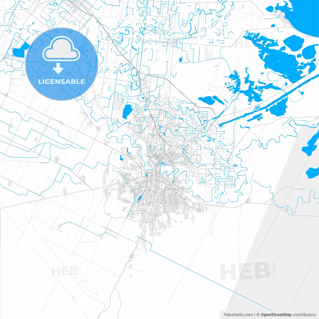Rich detailed vector map of Brownsville, Texas, USA