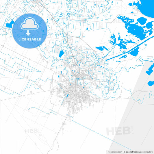 Rich detailed vector map of Brownsville, Texas, USA